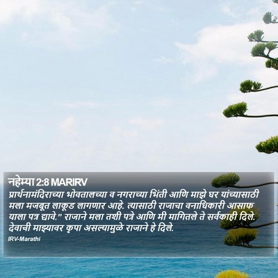 नहेम्या 2:8 MARIRV Bible Verse Image