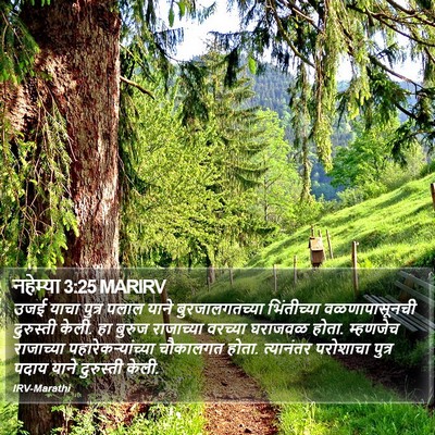 नहेम्या 3:25 MARIRV Bible Verse Image