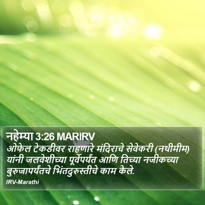 नहेम्या 3:26 MARIRV Bible Verse Image