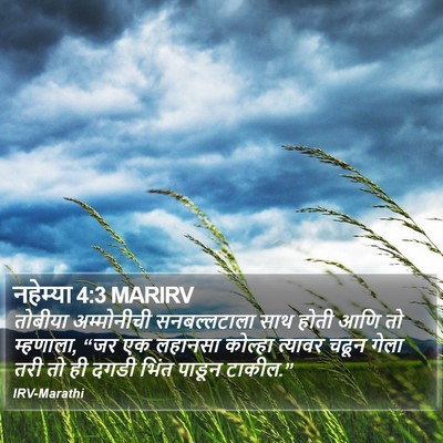 नहेम्या 4:3 MARIRV Bible Verse Image