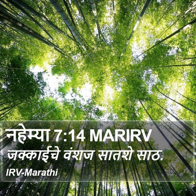 नहेम्या 7:14 MARIRV Bible Verse Image