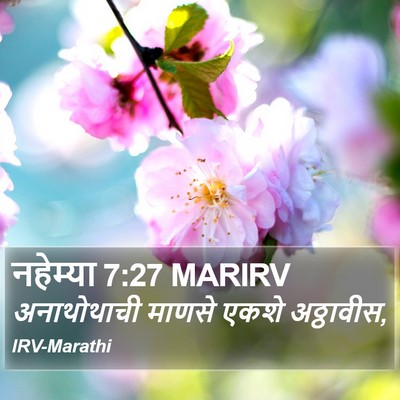 नहेम्या 7:27 MARIRV Bible Verse Image