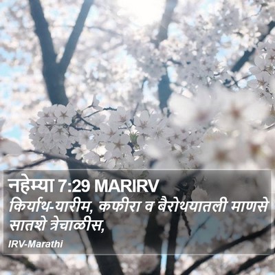 नहेम्या 7:29 MARIRV Bible Verse Image