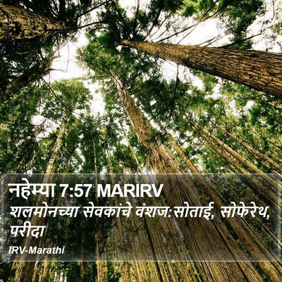 नहेम्या 7:57 MARIRV Bible Verse Image