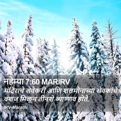 नहेम्या 7:60 MARIRV Bible Verse Image