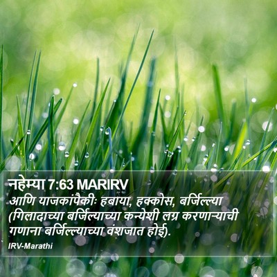 नहेम्या 7:63 MARIRV Bible Verse Image