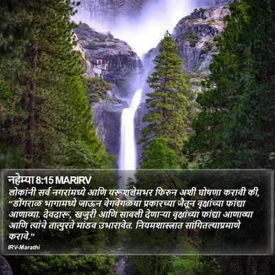 नहेम्या 8:15 MARIRV Bible Verse Image