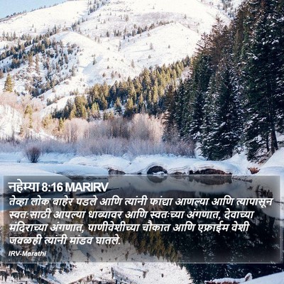 नहेम्या 8:16 MARIRV Bible Verse Image