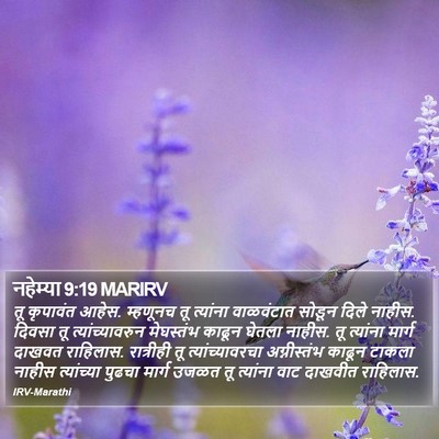 नहेम्या 9:19 MARIRV Bible Verse Image