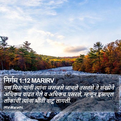 निर्गम 1:12 MARIRV Bible Verse Image