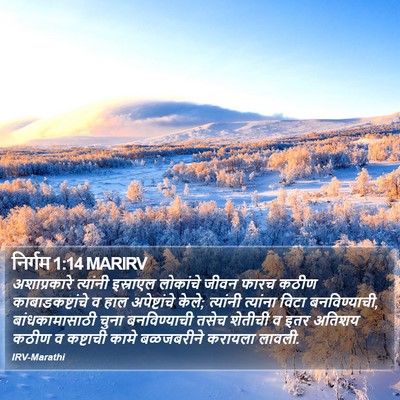 निर्गम 1:14 MARIRV Bible Verse Image