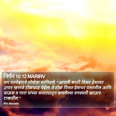 निर्गम 10:12 MARIRV Bible Verse Image