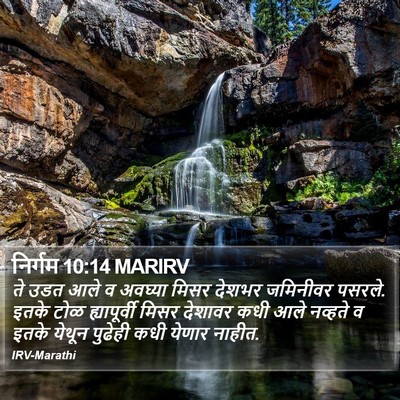 निर्गम 10:14 MARIRV Bible Verse Image