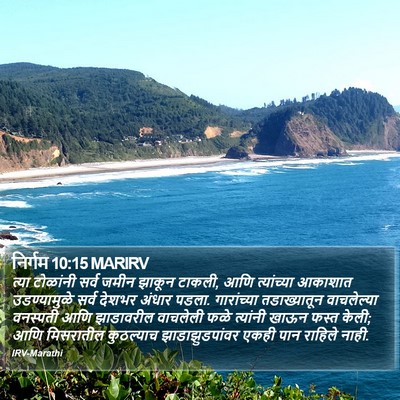 निर्गम 10:15 MARIRV Bible Verse Image