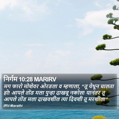 निर्गम 10:28 MARIRV Bible Verse Image