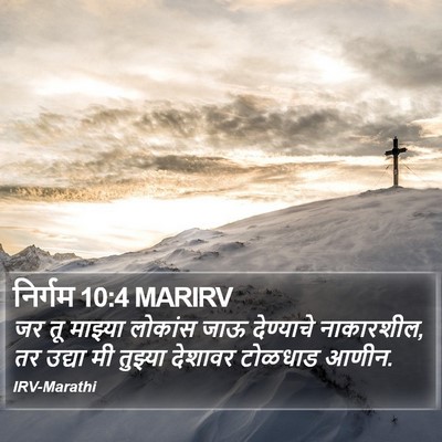 निर्गम 10:4 MARIRV Bible Verse Image