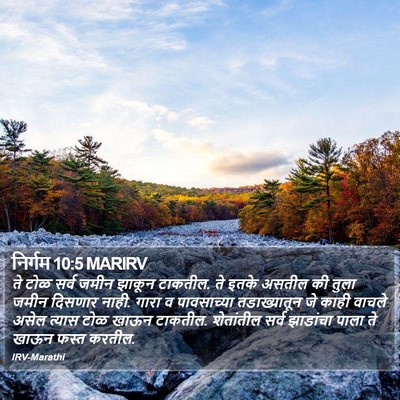निर्गम 10:5 MARIRV Bible Verse Image