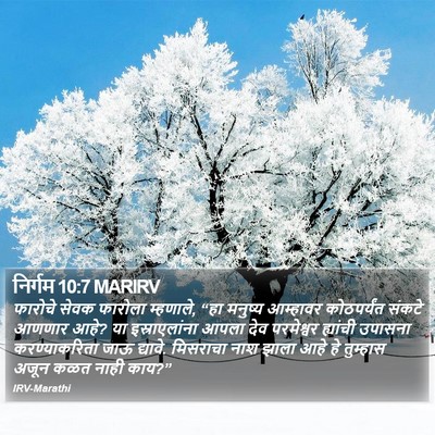 निर्गम 10:7 MARIRV Bible Verse Image