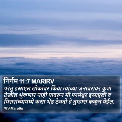 निर्गम 11:7 MARIRV Bible Verse Image