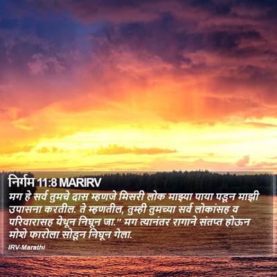 निर्गम 11:8 MARIRV Bible Verse Image