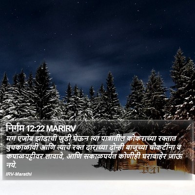 निर्गम 12:22 MARIRV Bible Verse Image