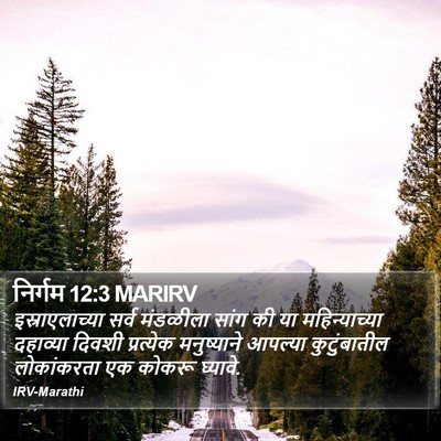 निर्गम 12:3 MARIRV Bible Verse Image