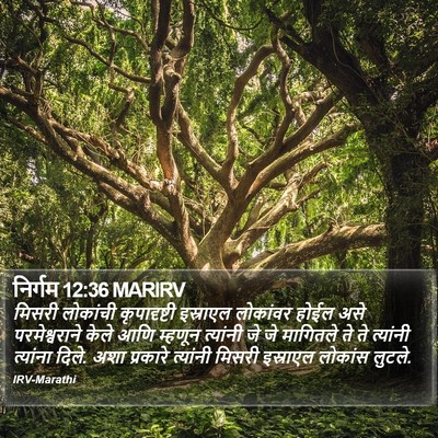 निर्गम 12:36 MARIRV Bible Verse Image