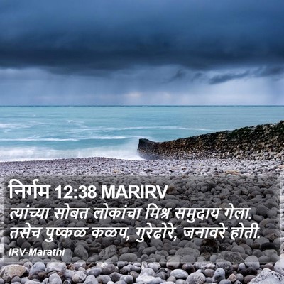 निर्गम 12:38 MARIRV Bible Verse Image