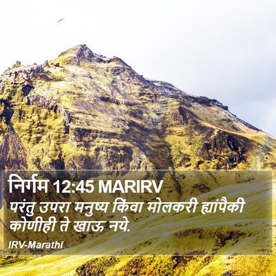 निर्गम 12:45 MARIRV Bible Verse Image