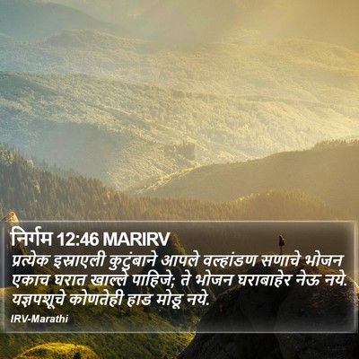 निर्गम 12:46 MARIRV Bible Verse Image