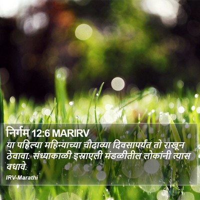 निर्गम 12:6 MARIRV Bible Verse Image