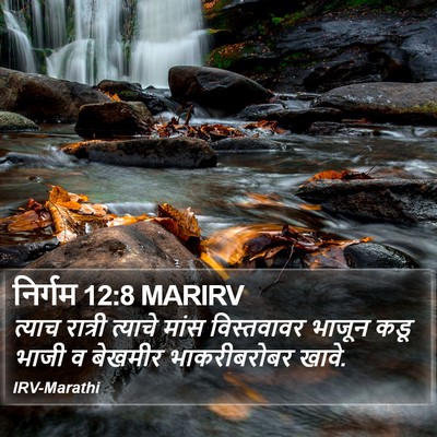 निर्गम 12:8 MARIRV Bible Verse Image