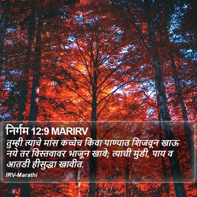 निर्गम 12:9 MARIRV Bible Verse Image