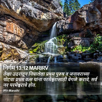निर्गम 13:12 MARIRV Bible Verse Image