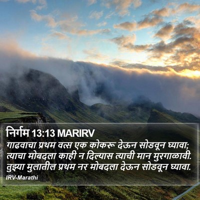 निर्गम 13:13 MARIRV Bible Verse Image