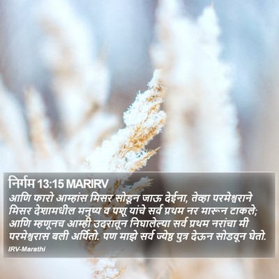 निर्गम 13:15 MARIRV Bible Verse Image