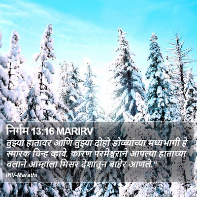 निर्गम 13:16 MARIRV Bible Verse Image