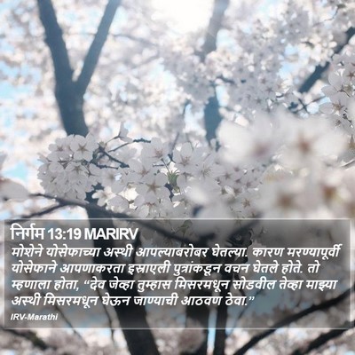 निर्गम 13:19 MARIRV Bible Verse Image