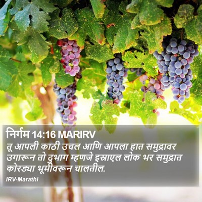 निर्गम 14:16 MARIRV Bible Verse Image