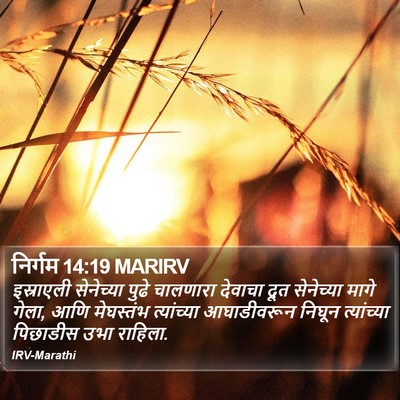 निर्गम 14:19 MARIRV Bible Verse Image