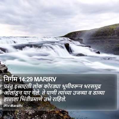 निर्गम 14:29 MARIRV Bible Verse Image