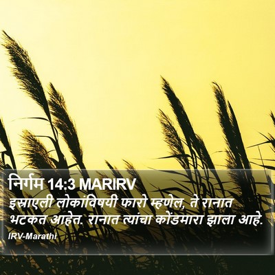 निर्गम 14:3 MARIRV Bible Verse Image