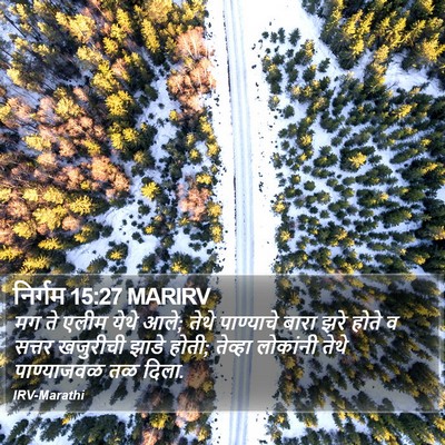 निर्गम 15:27 MARIRV Bible Verse Image