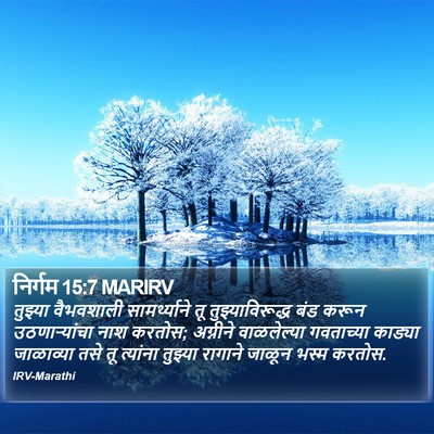 निर्गम 15:7 MARIRV Bible Verse Image