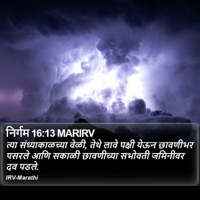 निर्गम 16:13 MARIRV Bible Verse Image