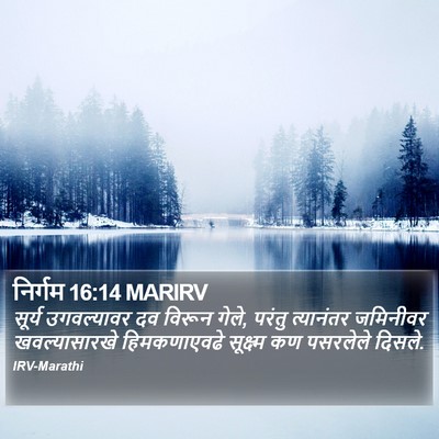 निर्गम 16:14 MARIRV Bible Verse Image