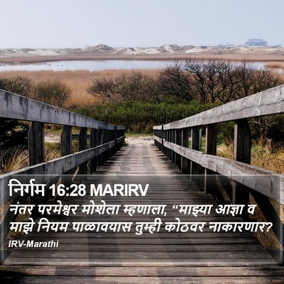 निर्गम 16:28 MARIRV Bible Verse Image