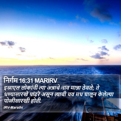 निर्गम 16:31 MARIRV Bible Verse Image
