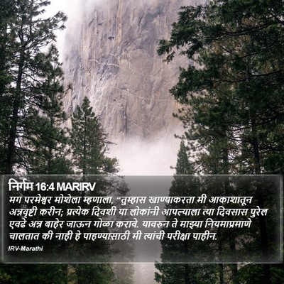 निर्गम 16:4 MARIRV Bible Verse Image