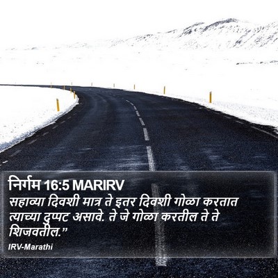 निर्गम 16:5 MARIRV Bible Verse Image